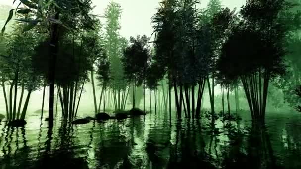 Bambusowa Dżungla Tajemniczej Mgle Animacja Temat Przyrody Klimatu Ekologii Roślinności — Wideo stockowe