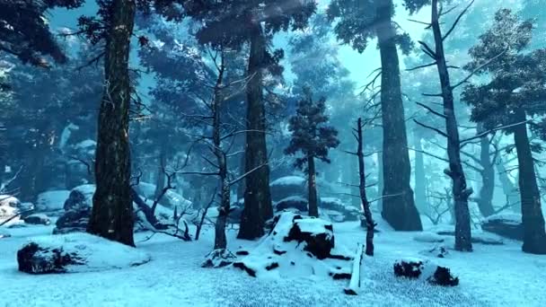 Jehličnatý Les Panorama Jehličnatého Lesa Zimě Animace Téma Příroda Ekologie — Stock video
