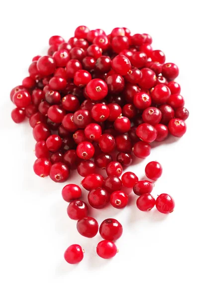 Red Forest Cranberry White Background Top View Royalty Free Stock Images