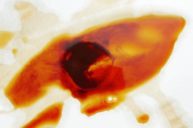 Beyaz kağıda dökülmüş kahve izleri, üst manzara. Kavramsal fotoğraf