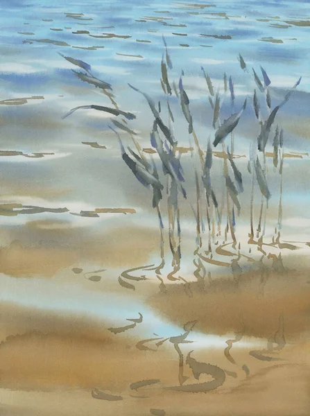 Водяная Трава Акварельном Фоне Озера Летний Пейзаж — стоковое фото