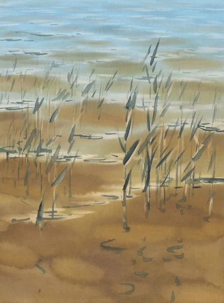 Vodní Tráva Odlesky Jezeře Akvarel Pozadí Letní Krajina — Stock fotografie
