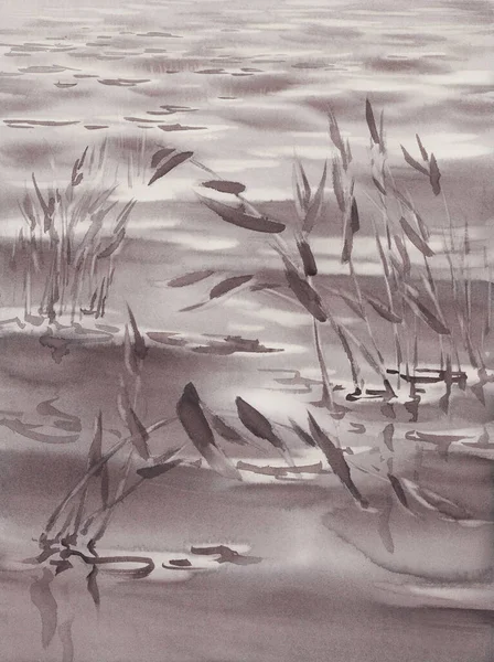 Water Grass Reflections Grey Watercolor Background Summer Landscape — стоковое фото