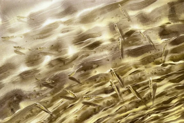 Słoneczne Fale Wody Tło Akwareli Ryb Streszczenie Ilustracji — Zdjęcie stockowe
