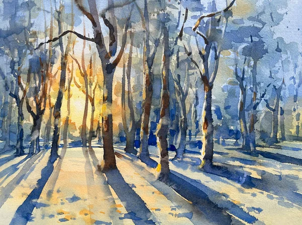 Winter Morning Forest Watercolor Landscape Christmas Illustration — ストック写真