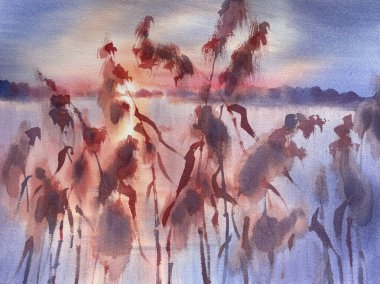 Suluboya arka planda gölün kenarında su otları. Sonbahar çizimi