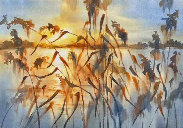 湖畔的水草在黄昏的水彩画背景下 秋季插图 — 图库照片
