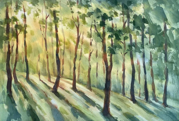 Spring forest landscape with sun light and shadows watercolor bakground. Easter illustration