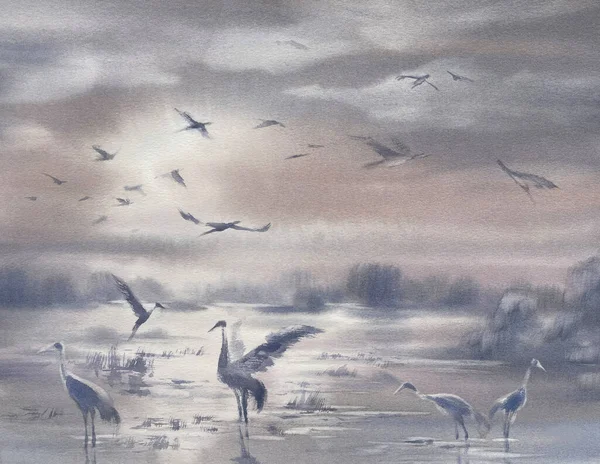 朝の霧の水彩画の背景に鶴 グレーのイラスト — ストック写真
