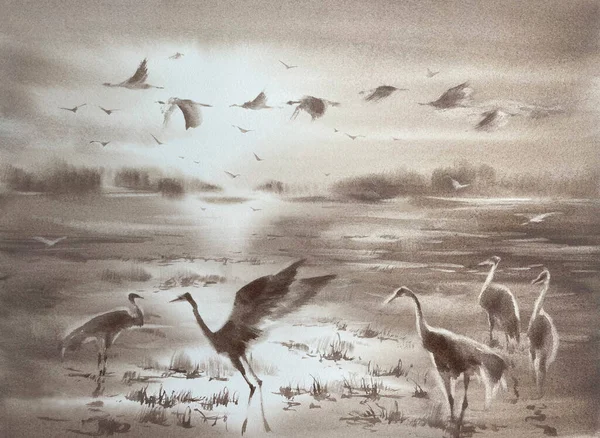 在晨雾中的鹤水彩画背景 棕色图解 — 图库照片