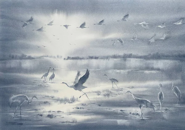 朝の霧の水彩画の背景に鶴 茶色のイラスト — ストック写真