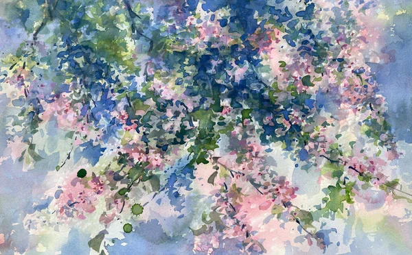Sakura Branches Fleurs Fond Aquarelle Illustration Printemps Fleurs Cerisier — Photo