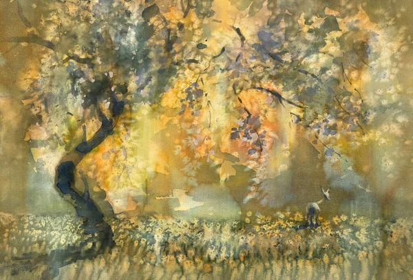 Esti Fény Kertben Virágzó Rét Akvarell Háttér Egy Hátsó Úton — Stock Fotó