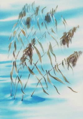 Kışın kuru çimenler karlı gölgelerde suluboya arka plan. Kış illüstrasyonu