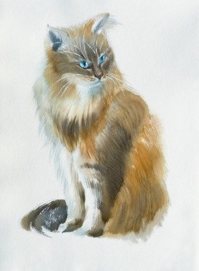 Beyaz arka planda suluboyayla boyanmış bir kedi. Hayvan illüstrasyonu