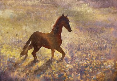 Çayır suluboya arka planda genç bir at. Hayvan illüstrasyonu