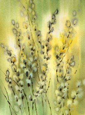 Pussy willow branches in warm watercolor background. Easter illustration