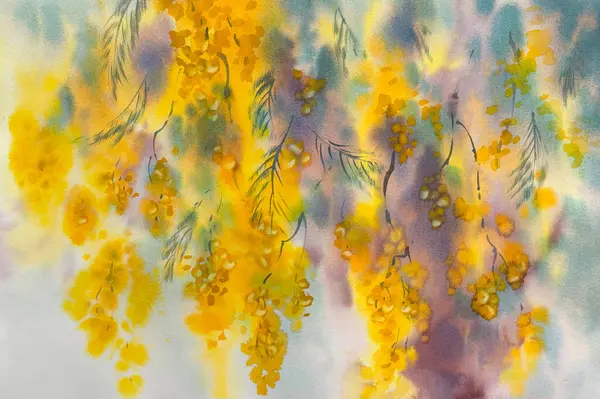 Mimosa çiçekleri renkli suluboya arka planda dallanır. Paskalya illüstrasyonu
