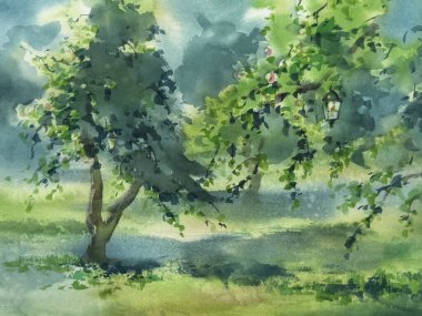 Yaz mevsiminde suluboya arka planda yeşil elma bahçesi. Elle boyanmış resim