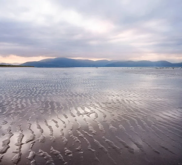 Cloudy Sunset Sky Reflecting Wet Sand Ripples Inch Beach Dingle — Stock Photo, Image