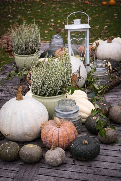 Venkovní Podzimní Dekorace Dýněmi Lucernami Podzimními Rostlinami Stock Snímky