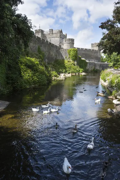爱尔兰Tipperary县Cahir城堡前的Suir河里 白鹅和白鸭在游泳 爱尔兰最大 保存最完好的城堡之一 图库照片