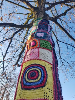 guerilla knitting on tree in the city