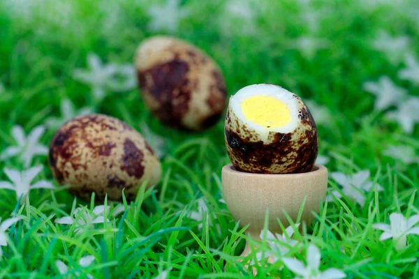 Preparação Ovos Codorna Saudáveis — Fotografia de Stock