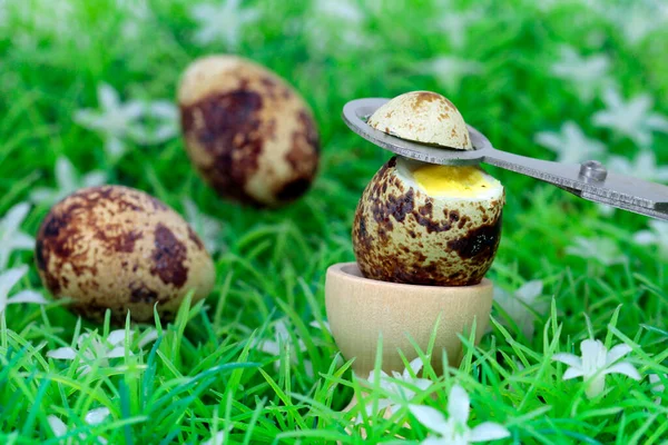 Preparación Huevos Codorniz Saludables — Foto de Stock