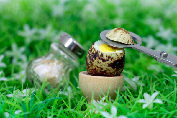 Preparación Huevos Codorniz Saludables — Foto de Stock