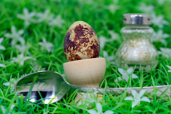 Preparación Huevos Codorniz Saludables —  Fotos de Stock