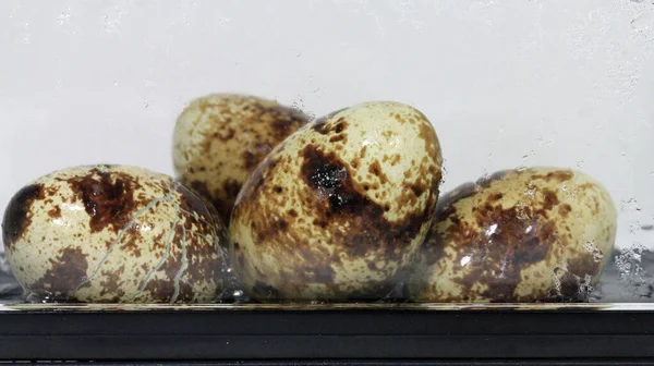 Sağlıklı Bıldırcın Yumurtalarının Hazırlanması — Stok fotoğraf