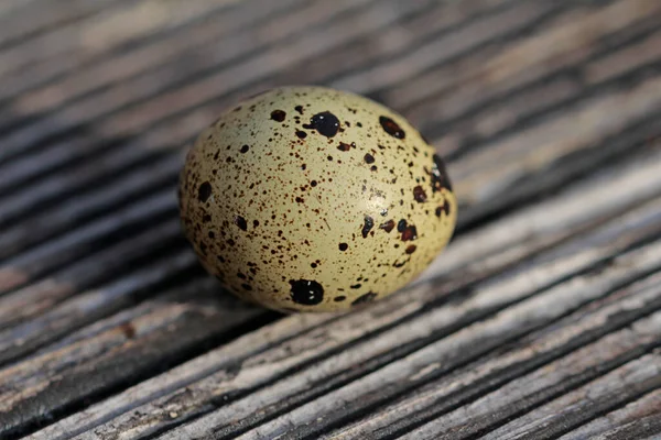Quail Eggs Wooden Background — Stock Photo, Image