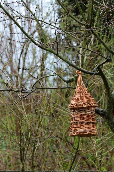 Коробка Гнездования Ивы Ручной Работы Исторически Сделанная Ткачом — стоковое фото