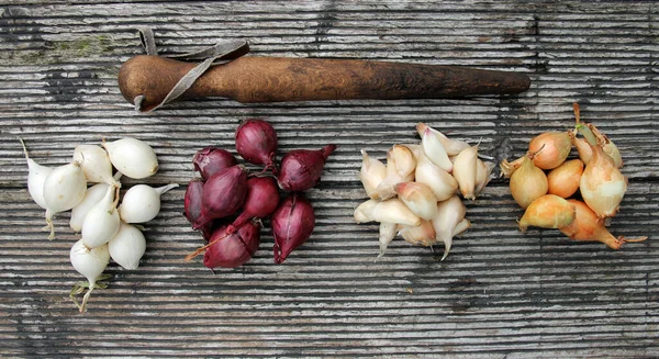Legumes Cebola Uma Mesa Madeira — Fotografia de Stock