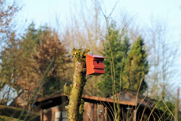 スウェーデンの赤い巣箱の木 — ストック写真