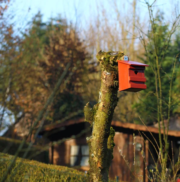 Szwedzkie Czerwone Gniazdo Drzewie — Zdjęcie stockowe