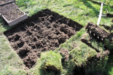 ekilmemiş küçük bir tümsek yatak