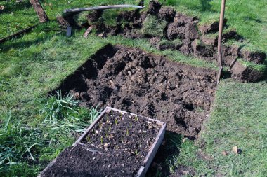 ekilmemiş küçük bir tümsek yatak