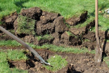 ekilmemiş küçük bir tümsek yatak