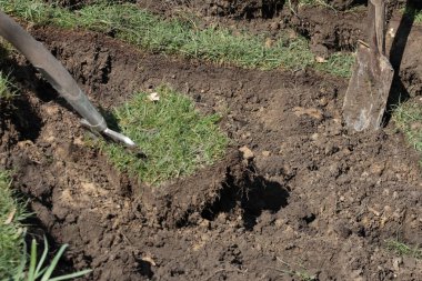 ekilmemiş küçük bir tümsek yatak