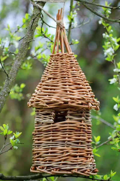 Коробка Гнездования Ивы Ручной Работы Исторически Сделанная Ткачом — стоковое фото
