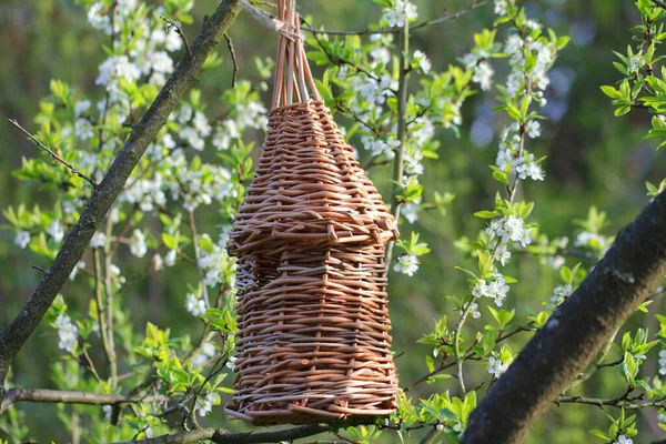 ツリー上の柳籠鳥の家 — ストック写真