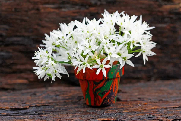 Ramo Flores Flores Ajo Silvestre Olvidar Florece Mimbre — Foto de Stock