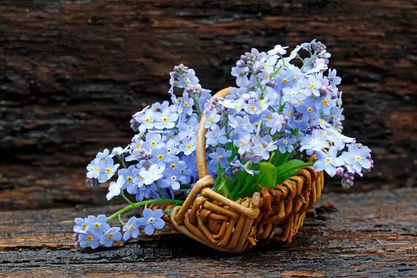 花の花束 野生のニンニクの花 忘れない私 ウィッカーの花 — ストック写真