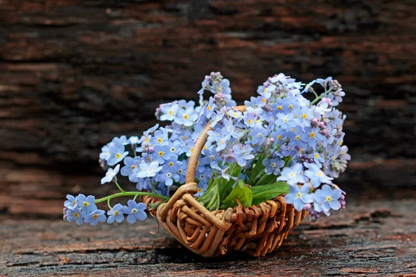 Blumenstrauß Bärlauchblüten Und Vergissmeinnicht Blüten Korb — Stockfoto