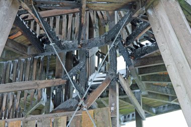 Kasım 2023 'te kundaklamadan sonra Velmerstot' ta bir çiçek.