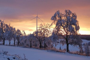 Ağaçlı kış manzarası