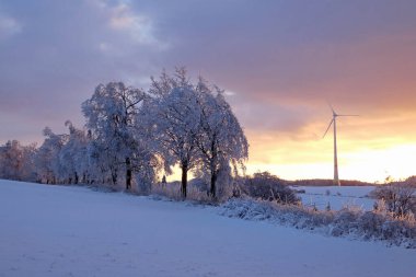 Ağaçlı kış manzarası