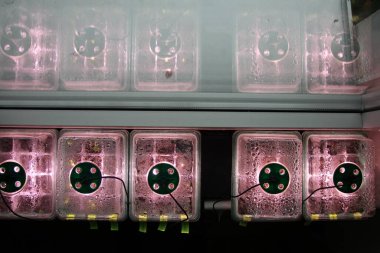 Mini seraları kapatın.